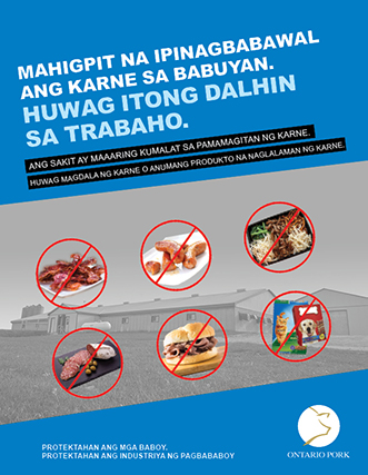 No Meat in Barns - Filipino