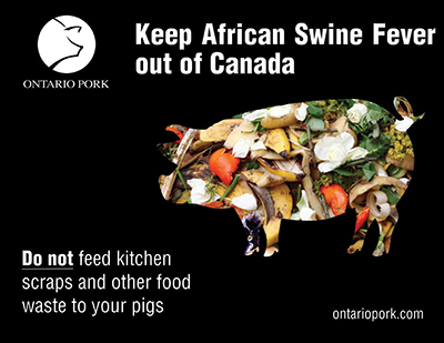 Keep African Swine Fever Out of Canada