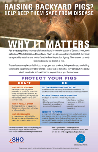 Hobby Pig Producers Ontario - ASF Poster