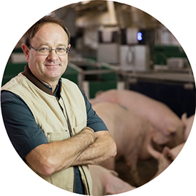 Swine Health Ontario Thumbnail