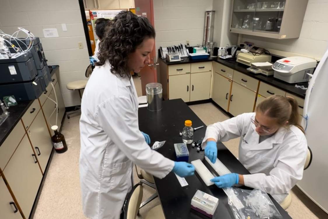 LeAnne Huber Research