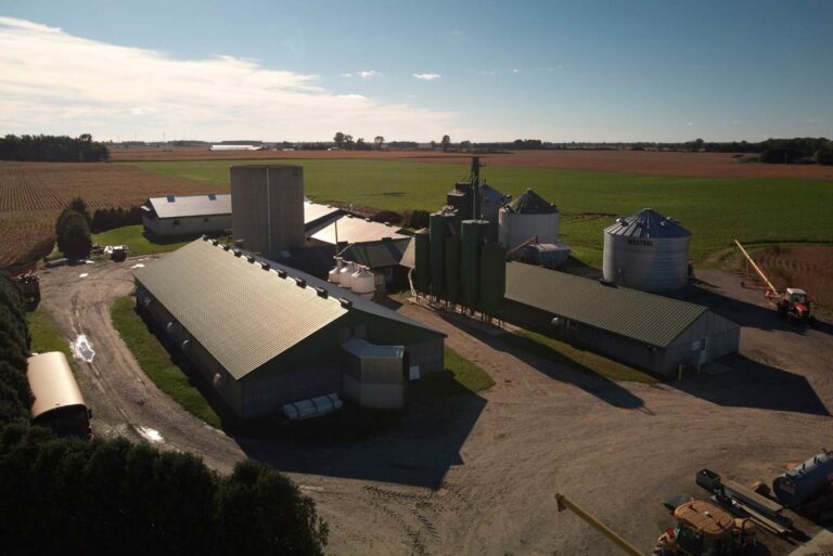 Ontario Pork Farm