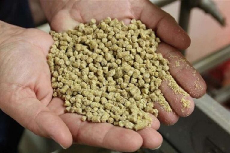Improvement of feed efficiency in Canadian swine industry through genomics and machine learning