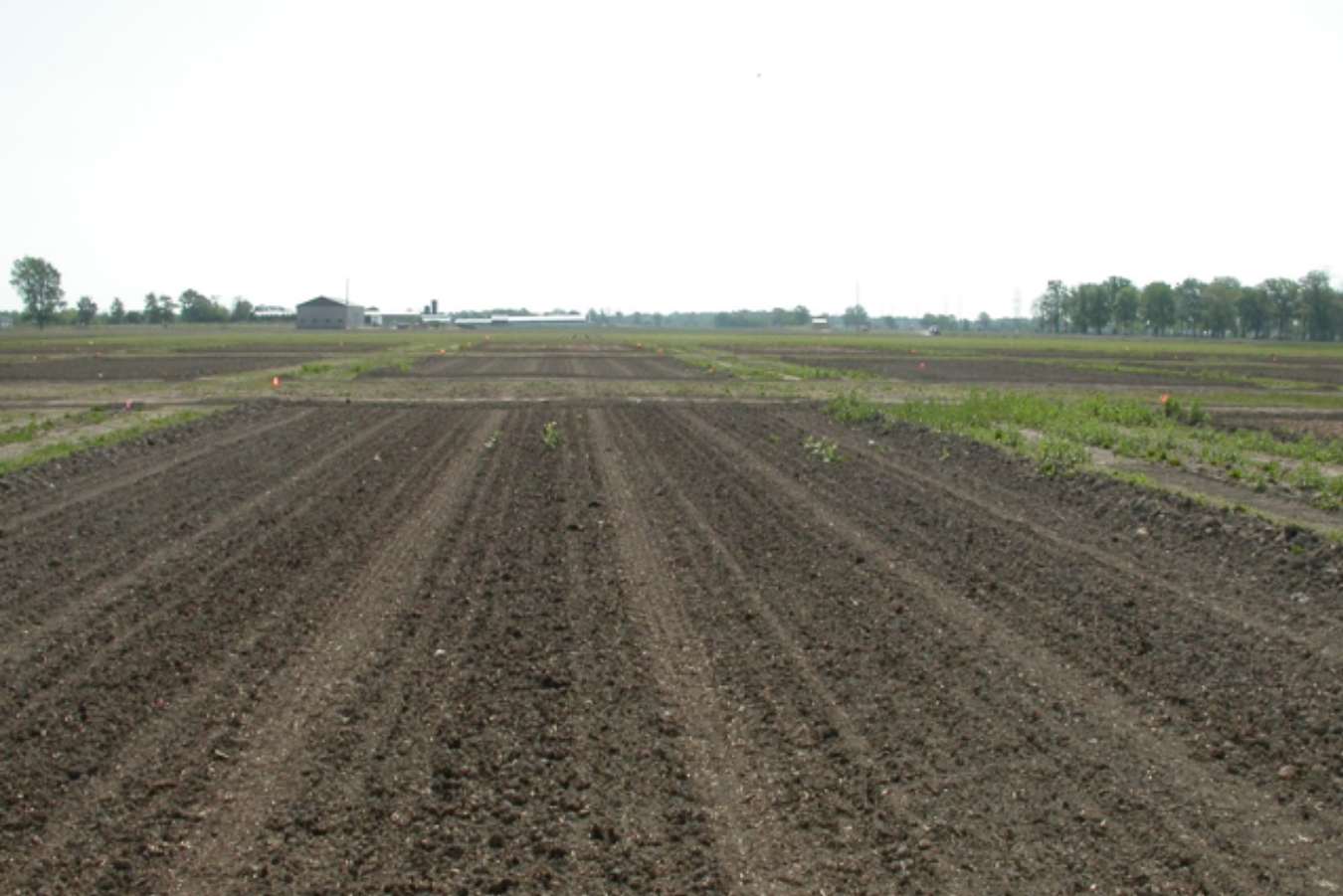 Improving 4R nutrient stewardship practices for crop production systems currently or previously receiving manures