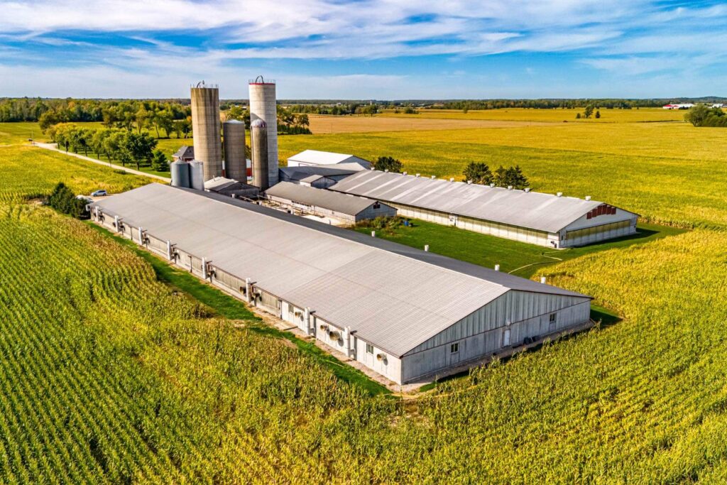 Ontario Pork Farm