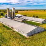 Ontario Pork Farm